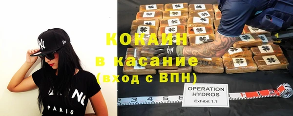 стафф Инта