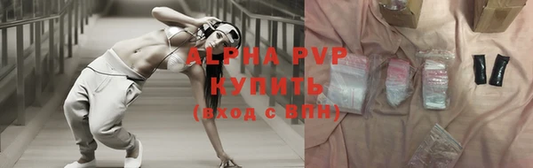 прущие грибы Тайга