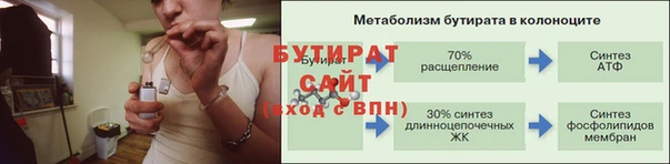 прущие грибы Тайга
