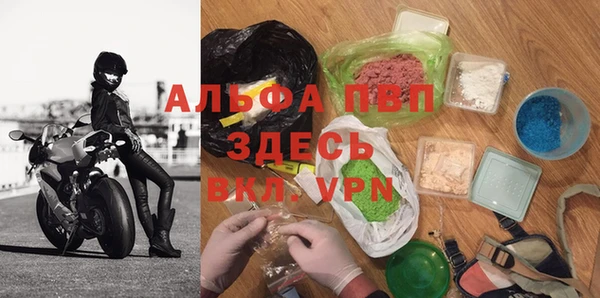 прущие грибы Тайга