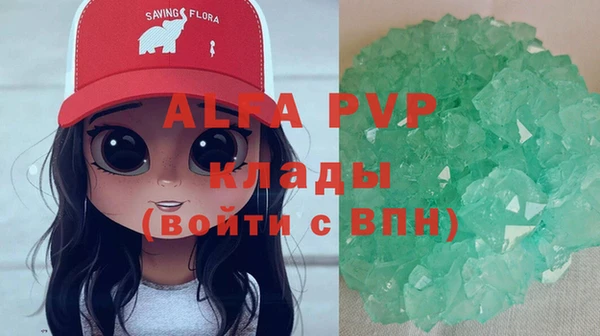стафф Инта