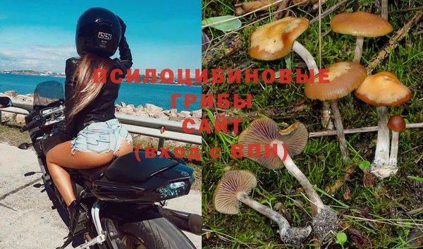 трава Иннополис