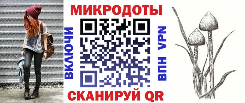 Купить  Советск  Галлюциногенные грибы Psilocybe 